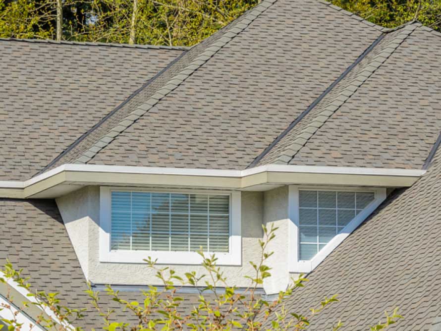 Asphalt Shingle